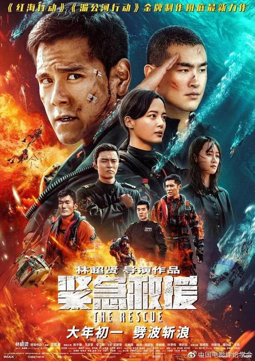 在哪里办国际驾照怎么申请